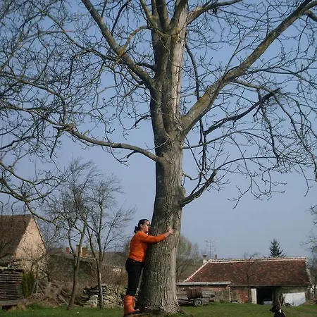 Nagy Vendeghazak