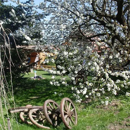 Maison d'hôtes Nagy Vendeghazak